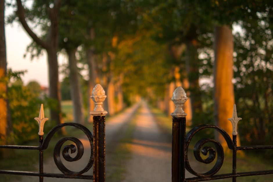 A tranquil unpaved pathway lined with trees, seen through an ornamental wrought iron gate at sunset.